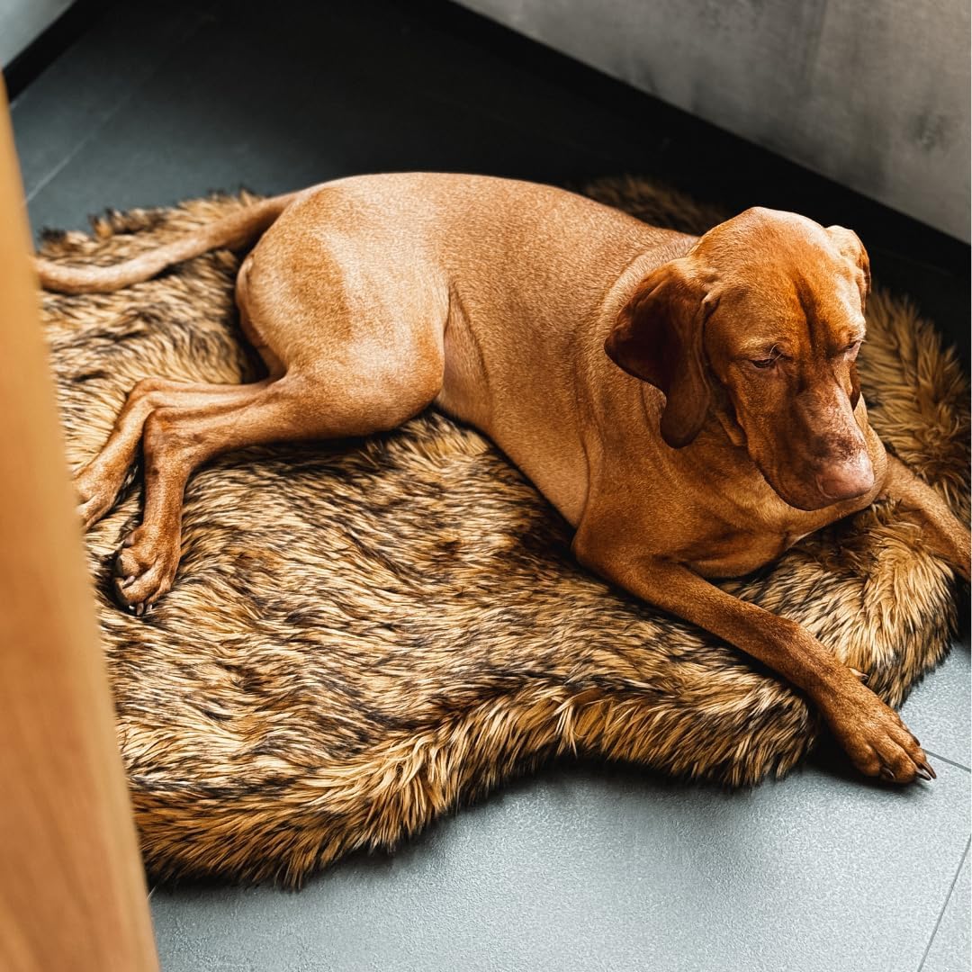IHAPPYDOG Luxury Faux Fur Orthopedic Dog Bed, Memory Foam Dog Bed for Small, Medium, Large and XL Pets, Fluffy Pet Bed with Waterproof and Washable Cover (White w/Brown Tips, 50"x30")