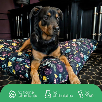 Molly Mutt Medium to Large Dog Bed Cover- Forever Young Print - Measures 27”X36”X5’’ - 100% Cotton - Durable - Breathable - Sustainable - Machine Washable Dog Bed Cover (Dd82b)