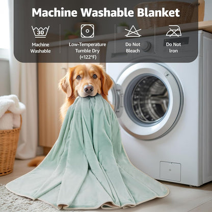 LOOBANI Waterproof Blanket for Bed: Reversible Soft Flannel Twin Bed Blanket 60" x 80", Leakproof Throw Spill-Proof Dog Pet Blanket for Couch Cover, Movie Time, Camping, Travel, Grey