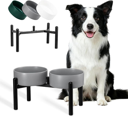 Raised Ceramic Dog Bowl Set - Elevated Double Dishes with Stainless Steel Stand - Food and Water Bowls for Small to Medium Dogs - Each Holds 3.5 Cups (29.57 fl oz) - White