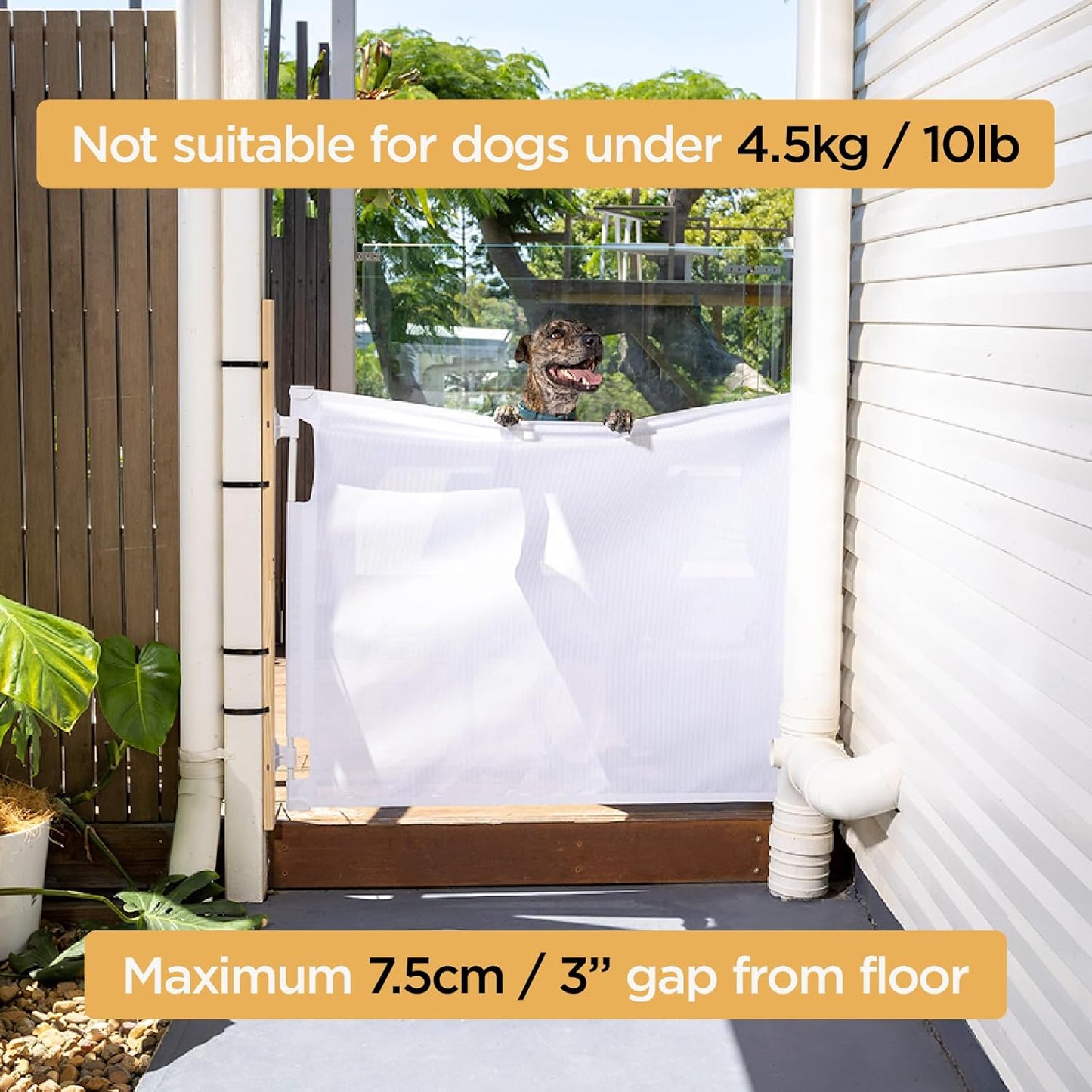 Hakuna Pets Indoor/Outdoor Paw Proof Retractable Dog Gate, 36.6" Tall Extends to 71" Wide, Black