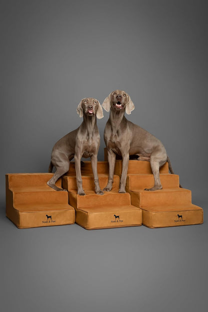 Noah & Paw Dog Stairs, Dog Ramp for Bed (20" Extra Wide) Pet Stairs for High Bed, Design to Fit Small and Large Breeds, Durable 5 Pet Steps for Couch (35 Foam Density) Leather Collection