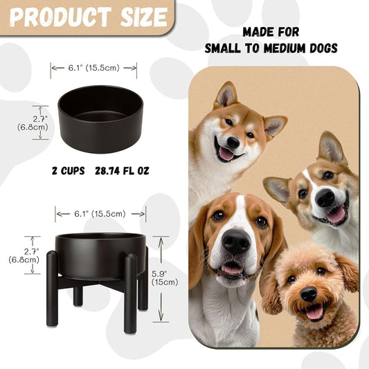 Raised Ceramic Dog Bowl Set - Elevated Double Dishes with Stainless Steel Stand - Food and Water Bowls for Small to Medium Dogs - Each Holds 3.5 Cups (29.57 fl oz) - White