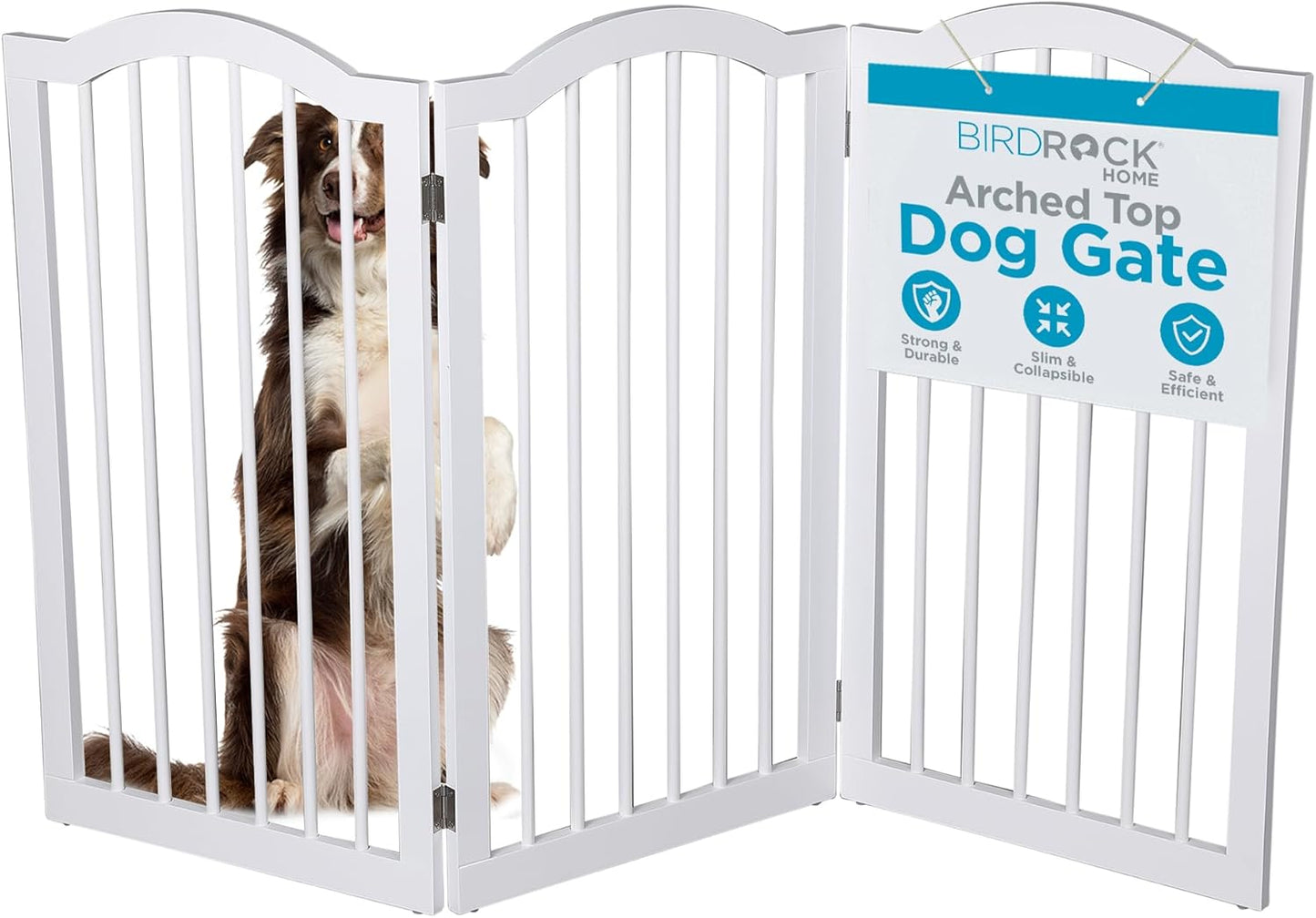 INTERNET'S BEST Arched Top Dog Gate | 4 Panel, 24" H Wooden Pet Barrier for Dogs or Cats | Freestanding Folding Room Divider for Doorways, Hallways, Stairs, and Porch | Portable, Extra Wide | Espresso
