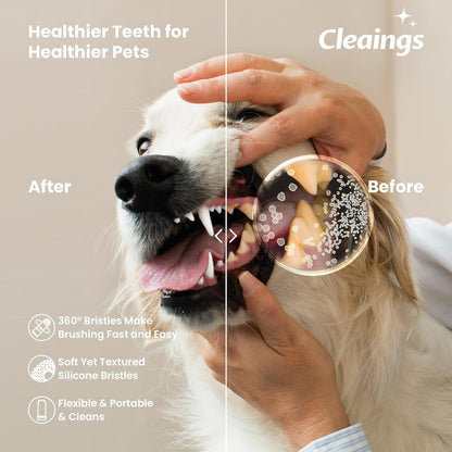 Dog Finger Toothbrush with Flavor Burst Beads, 360° Silicone Dog Toothbrush Kit for Dogs & Cats, Deep Teeth Cleaning, (36 Beads per Brush), No Pet Toothpaste Needed - 2 Pcs Chicken Flavor