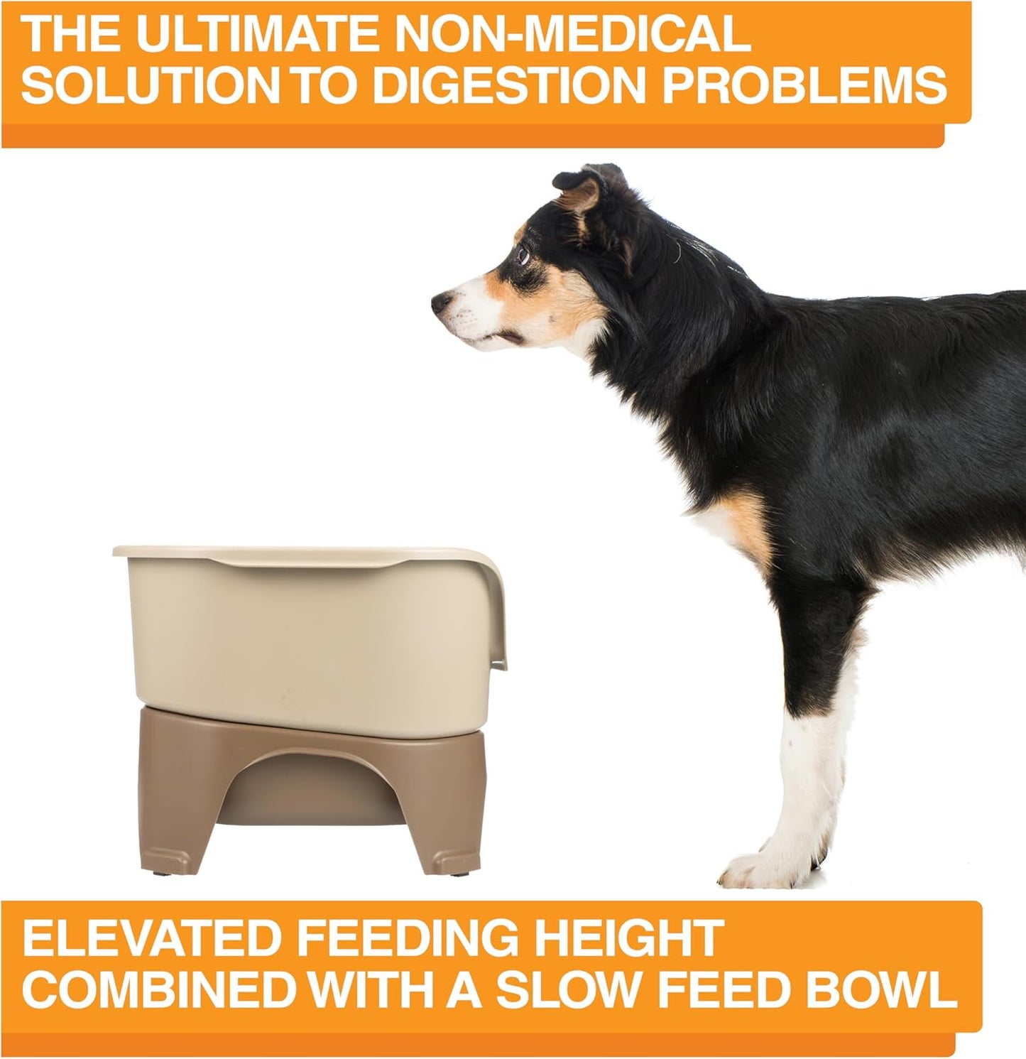 Neater Feeder Express Mess Proof Dog Bowls Elevated for Small Breeds under 15 Lb, Made in USA, No Spill Raised Dog Food Bowl Stand, Stainless Steel Food and Water Bowl Set, Feeding Station, Cappuccino