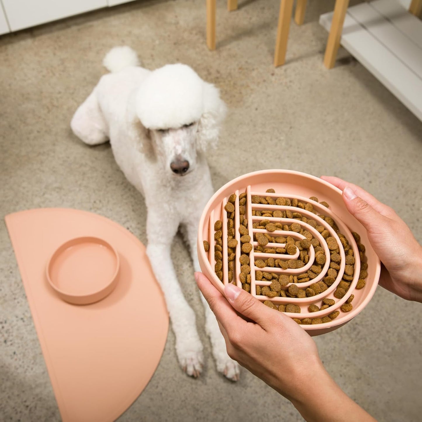 Should We Go? Slow Feeder for Dogs & Puppies, The Slowdown Bowl Silicone Slow Eating, Modern Lick Mat Design, Reduces Gulping, Fits 2 Cups, 7.5” Across x 1.5” Tall, Mealtime Challenge, Medium-Blush