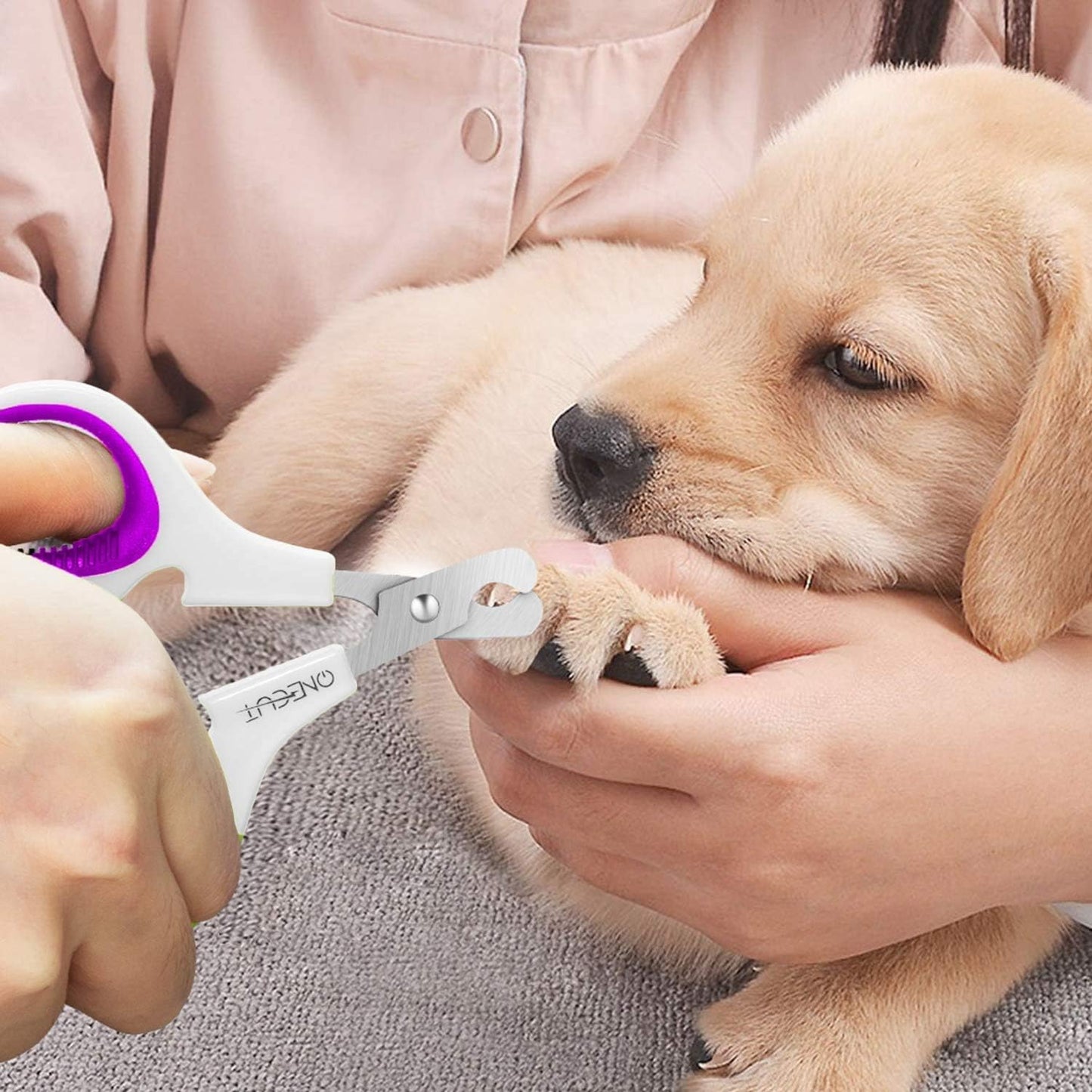 Pet Nail Clippers, Update Version Cat & Kitten Claw Nail Clippers for Trimming, Professional Pet Nail Clippers Best for a Cat, Puppy,Rabbit, Kitten & Small Dog,Sharp & Safe (Pink)