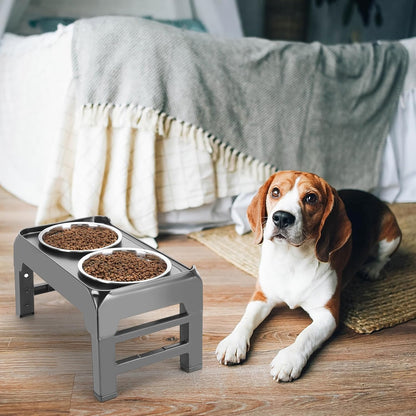 COMESOON Slow Feeder Dog Bowl, Slow Down Eating Anti-Choking Bloat Stop Maze Design Dog Dishes Fit for COMESOON Bowl Stand DB-G03/DB-B03, Black