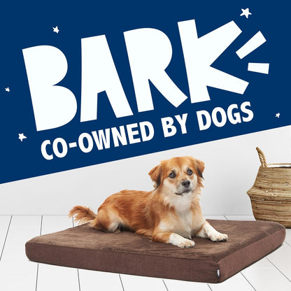Barkbox Orthopedic Dog Bed with Memory Foam, Premium Comfort for Dogs and Puppies, Large Sized Dog Bed for Joint Relief and Restful Sleep, Durable and Easy to Clean - Grey, Large
