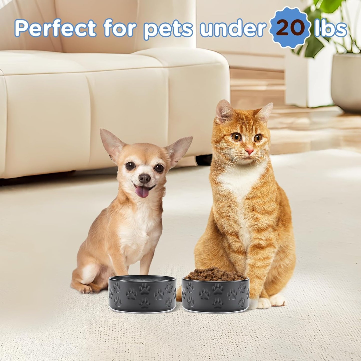 SPUNKYJUNKY Elevated Dog Bowls Ceramic, 6.1'' Dogs and Cat Food Water Bowls Raised with Non-Slip Bamboo Stand for Medium Sized Breed Microwave Dishwasher Safe - 28.7 OZ,Beige