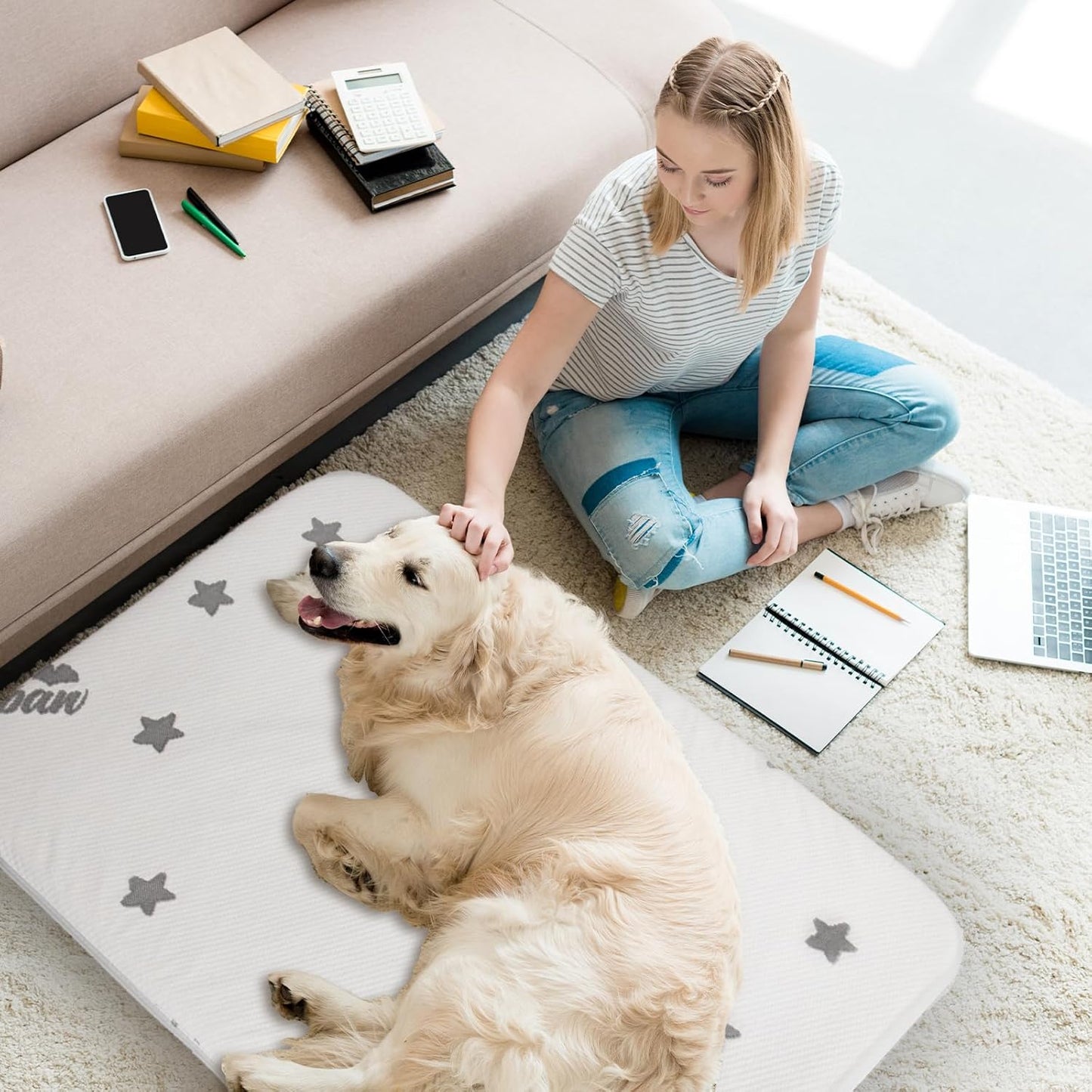 Waterproof Dog Bed for Large/Medium Dog, Memory Foam Orthopedic Dogs Beds & Furniture 38” x 26" x 1.5" for Large Sized Dogs with Anti-Slip & Washable Removable Cover, Soft Flannel Top Pet Beds, Grey