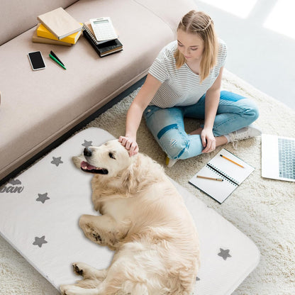 Waterproof Dog Bed for Large/Medium Dog, Memory Foam Orthopedic Dogs Beds & Furniture 38” x 26" x 1.5" for Large Sized Dogs with Anti-Slip & Washable Removable Cover, Soft Flannel Top Pet Beds, Grey