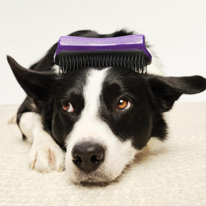 Pet Teezer De-Shedding Dog Brush by Tangle Teezer, Dog Grooming Tool for Long Haired Breeds and Wet or Dry Fur, Large, Blue & Pink