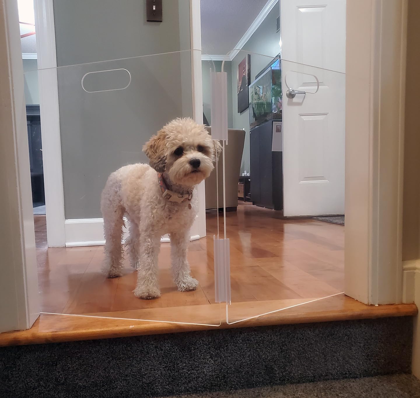 Pet Barrier (3-Panel) | Free-Standing Pet Gate | Foldable | Protect Your Indoor Living Spaces, Decorations, and Important Items from Pets | Made in The USA