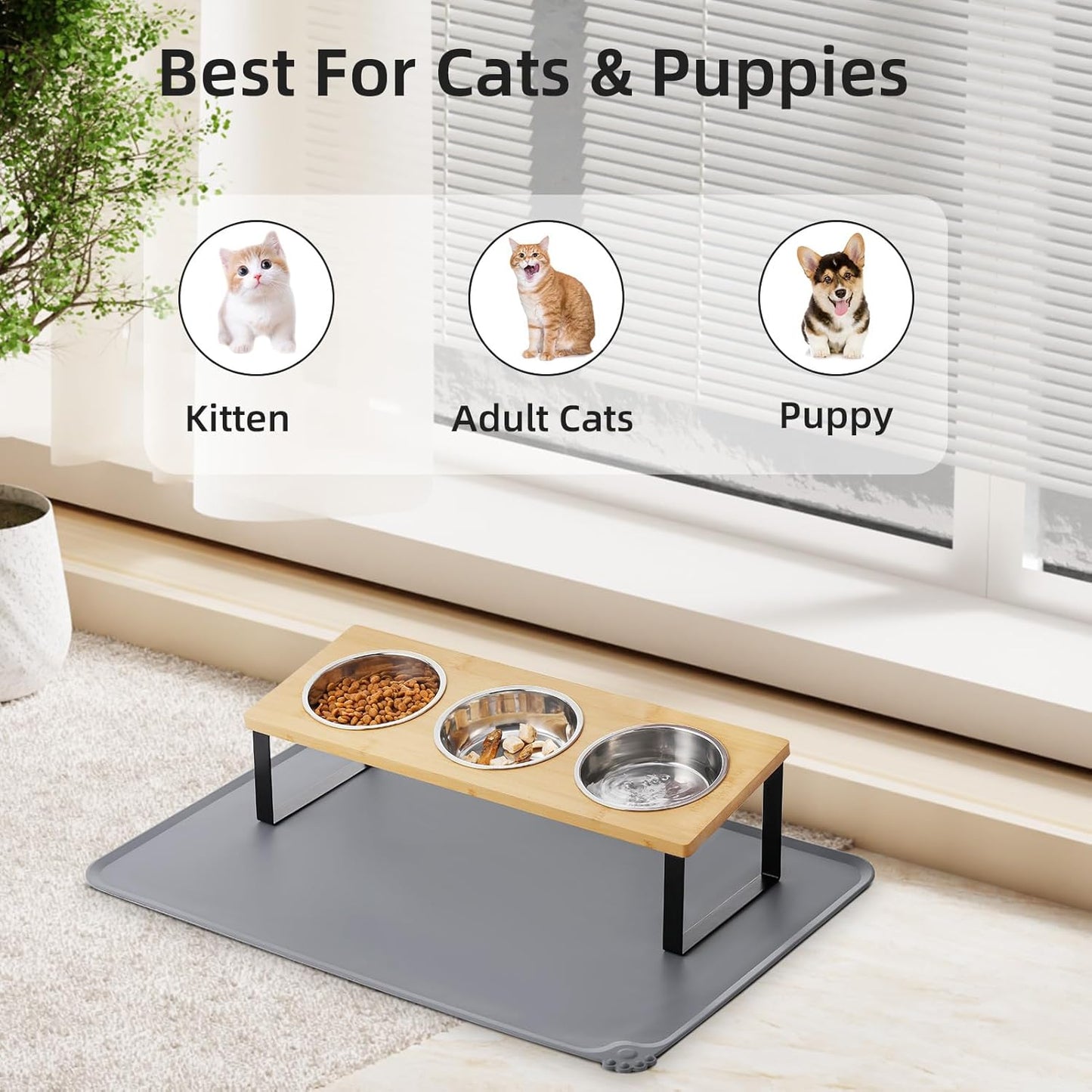 Upgraded Elevated Cat Bowls with Food Mat,15°Tilted Stand Anti Vomiting Raised Cat Dishes for Food and Water,2 Stainless Steel Bowls for Cats and Puppy