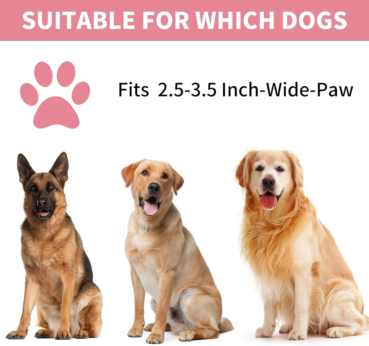 Professional 7 in 1 Dog Paw Cleaner for Dogs & Cats - Includes 1 Portable Paw Washer, 1 Bath Brush, 2 Dog Toothbrushes and 3 Absorbent Towels Note: Fits Paws up to 2 Inches Wide (Small, Blue)