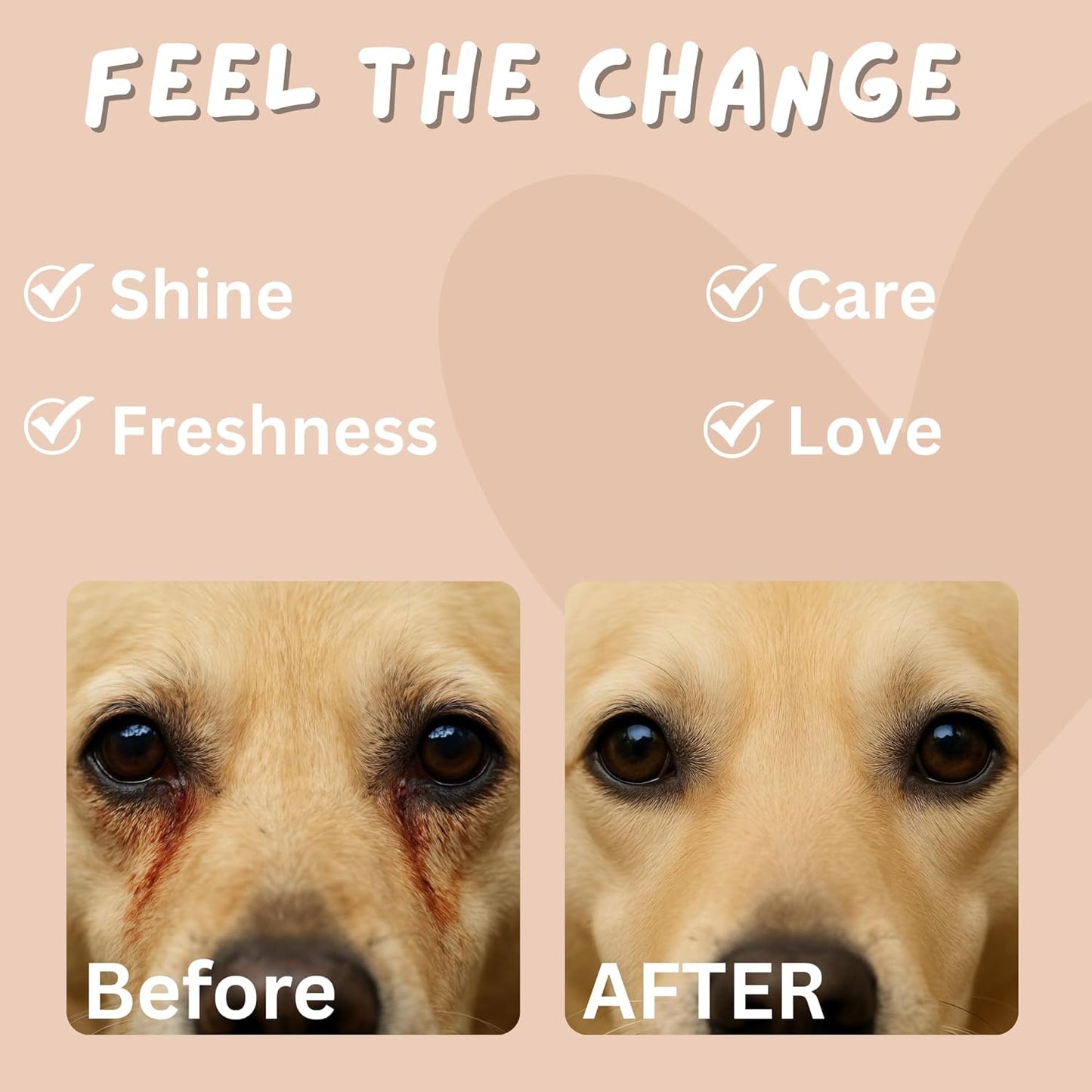 100 Finger Wipes - Pet Dental Wipes for Dogs & Cats - Dog Teeth Cleaning Powder & Toothpaste Alternative - Dog & Cat Teeth Cleaning Wipes - Freshen Breath & Reduce Plaque