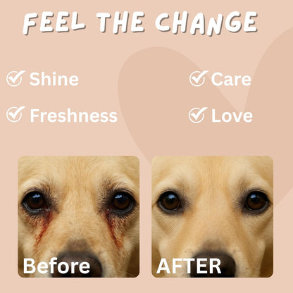 100 Finger Wipes - Pet Dental Wipes for Dogs & Cats - Dog Teeth Cleaning Powder & Toothpaste Alternative - Dog & Cat Teeth Cleaning Wipes - Freshen Breath & Reduce Plaque
