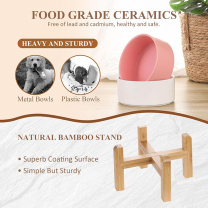 Elevated Ceramic Cat Bowl - Cat Food Bowl with Bamboo Stand - Raised Dog Dish for Puppies - Anti Vomiting, Stress Free - 13.5 oz / 400 ml - White