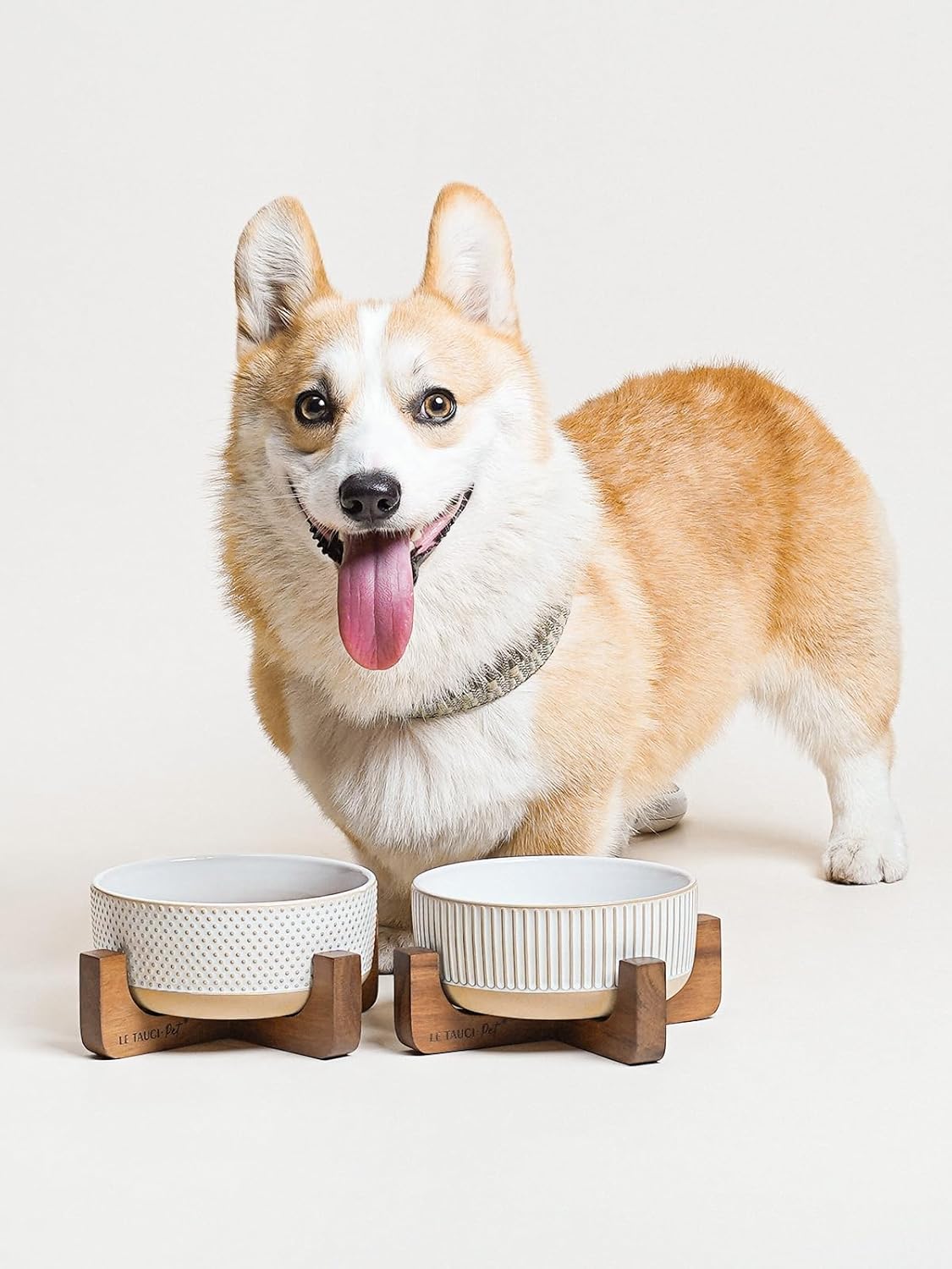 LE TAUCI PET Ceramic Dog and Cat Bowl Set with Acacia Wood Stand - 2 Cup Weighted Non-Slip Food and Water Bowls for Small Dogs & Cats, Lines + Dot