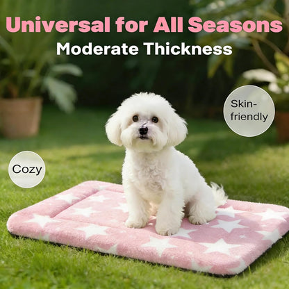 Dog Bed Mat, Reversible Crate Pad & Cute Dog Bed - Machine Washable Kennel Mat with Ultra Soft for Small Dogs (Cool/Warm), 24" x 18", Grey&Star