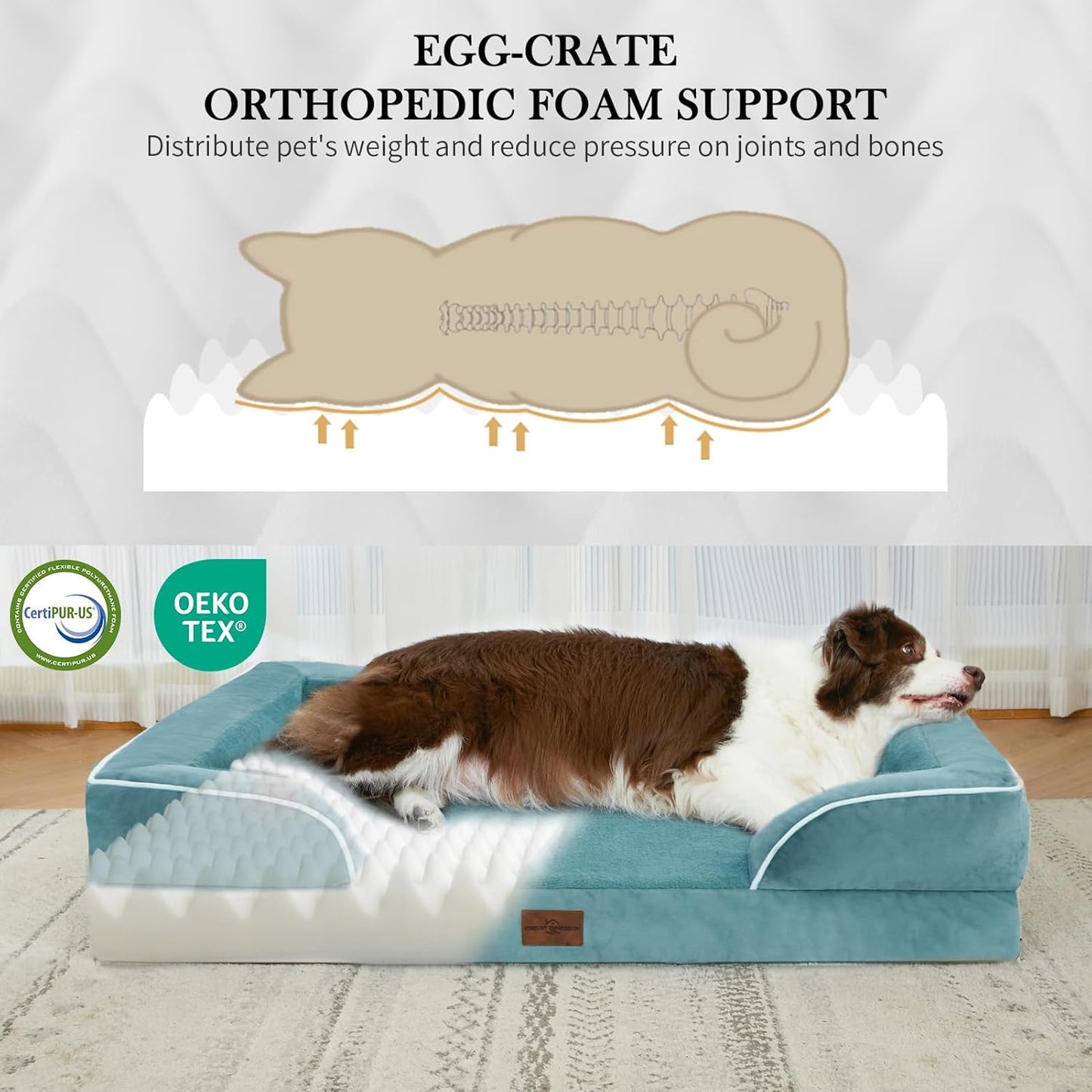 Comfort Expression Orthopedic Dog Bed for Extra Large Dogs 42x30 Inch, Waterproof Egg Crate Foam XL Pet Bed with Removable Bolsters, Dog Couch with Washable Cover & Non-Slip Bottom, Grey - Colors B