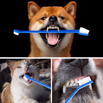 Newday 50 Pack Dual Ended Long Dog & Cat Toothbrush, Pet Safe Super Soft Bristles for Pet Dog Puppy Kitten Dental & Oral Care Teeth & Gums, Pet toothbrushes in Box, Bulk Individual polybag (Colorful)