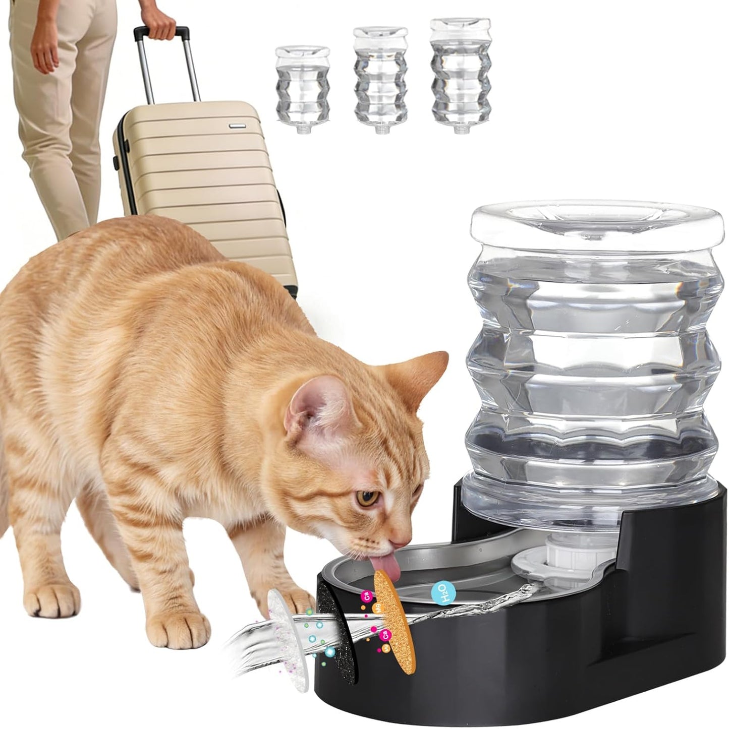 RIZZARI 8L Elevated Pet Water Dispenser – Stainless Steel Gravity Waterer with Auto-Refill Design for Medium and Large Dogs & Senior Pets -Comfortable Drinking Height for Living Rooms,Multi-Pet Homes