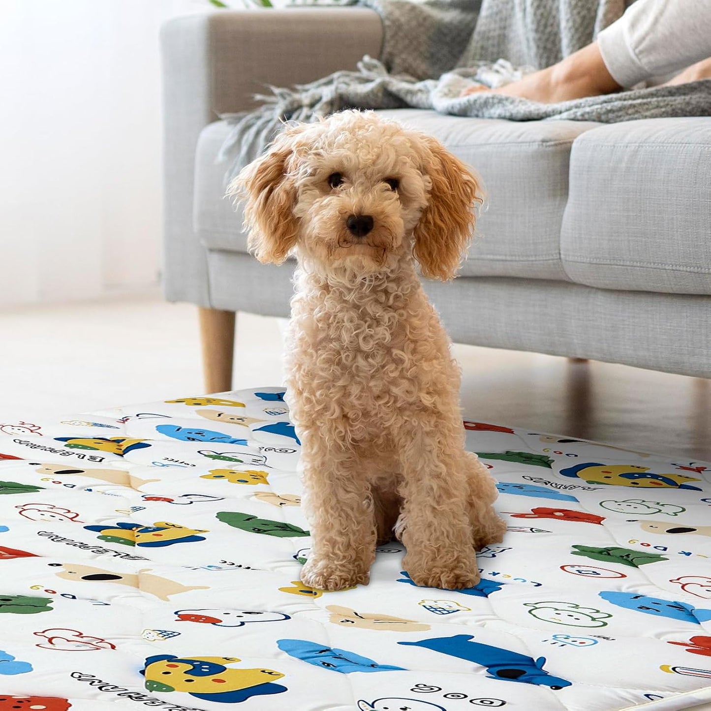 Bubble bear Dog Crate Mat - Ultra Soft, Washable & Anti-Slip Kennel Pad for Small/Medium/Large Dogs, Dark-Hued to Hide Stains (48"x30")