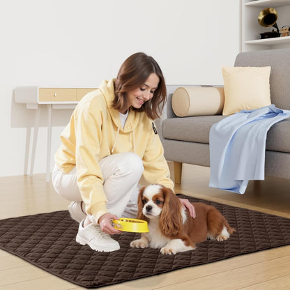 Smiry Waterproof Dog Bed Cover Blanket 30x70, Soft Reversible Pet Blanket, Washable Leakproof Cats Dogs Couch Cover for Sofa, Couch, Furniture, Grey/Dark Grey