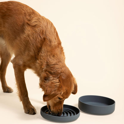 Should We Go? Dog Water Bowl - The Perfect Dish No-Spill, Less Mess Non-Tippable Water & Food Bowl, Pure Silicone with Suction Cup Fits 5 Cups 7.5" Across x 2.25" Tall, Ideal for All Pets, Medium-Sage