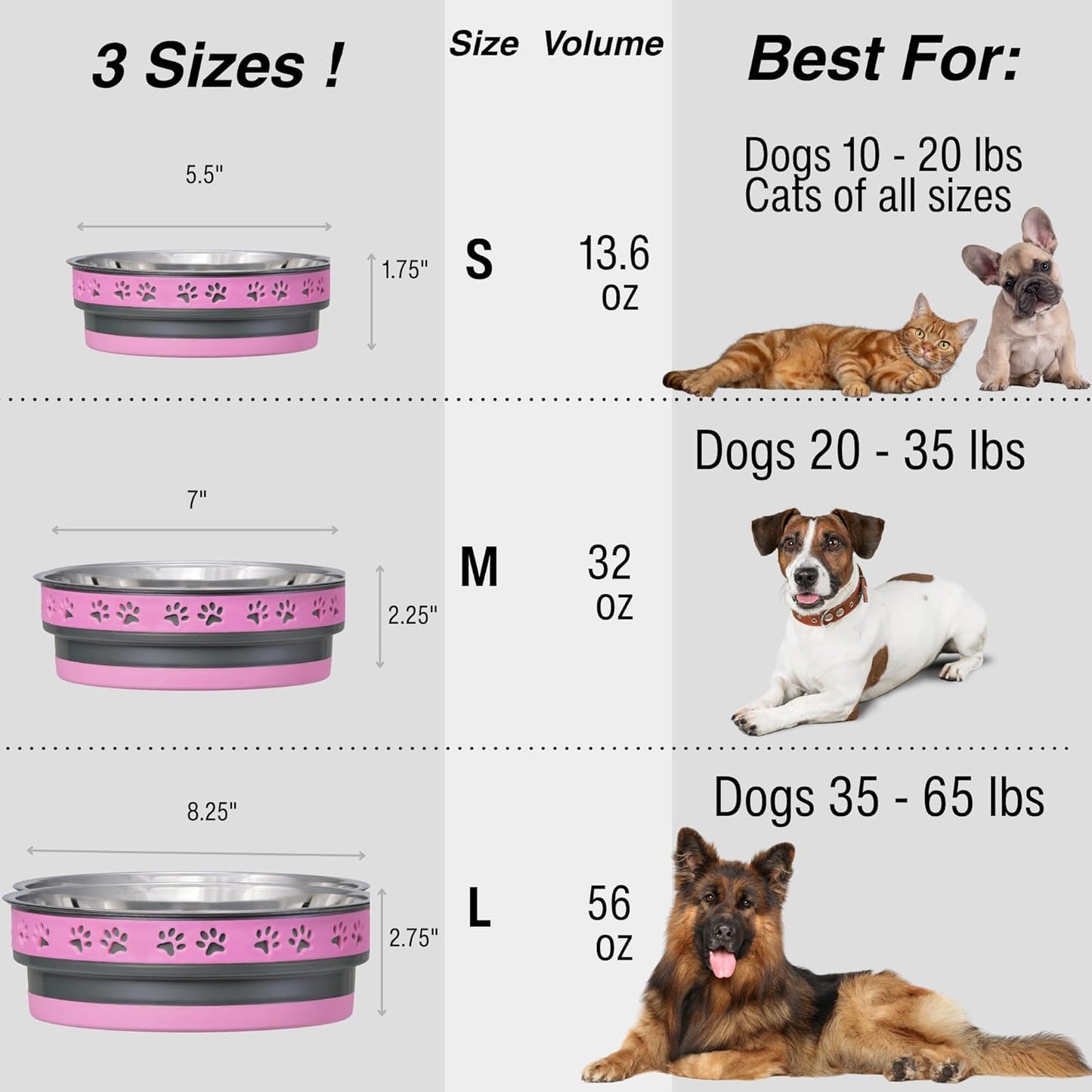 Loving Pets Corsa Dog Bowls- Stainless Steel Dog & Cat Bowls - Spill Proof Dog Food Bowl, Cat Bowl, Puppy Essentials & Pet Supplies Great for Home & Travel (Small 10-20 lbs, Rapid Blue)