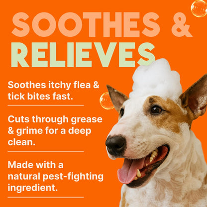 TropiClean Deshedding Dog Shampoo, Fast-Acting Shedding Control & Coat Softener, Puppy Safe, Made in USA, Lime & Coconut Scent, Cat Friendly, 20oz.