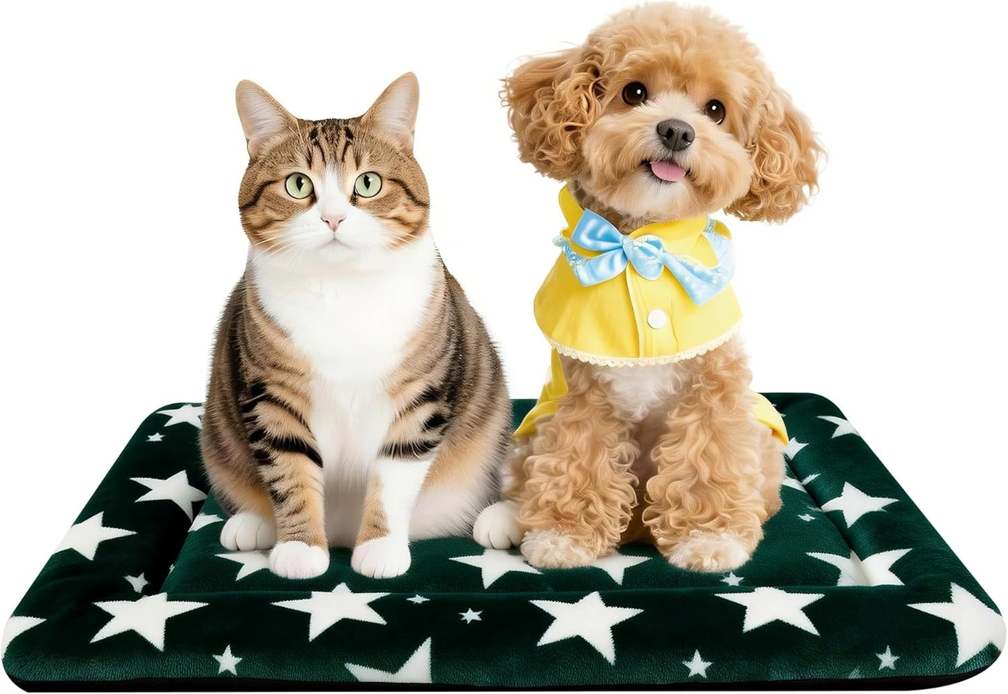 Dog Bed Mat – Soft & Comfortable Dog Kennel Pad for Crate – Durable Crate Bed & Mat for Dogs & Cats – Ideal for Crate, Kennel, and Home Use