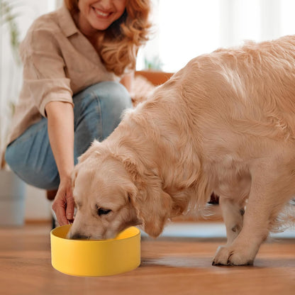 6'' Ceramic Raised Dog Bowl - 30Oz Dog Food & Water Bowl with Elevated Non-Slip Bamboo Stand, Dishwasher & Microwave Safe, Anti Vomiting Heavy Duty Pet Bowl for Small and Medium Dogs, White