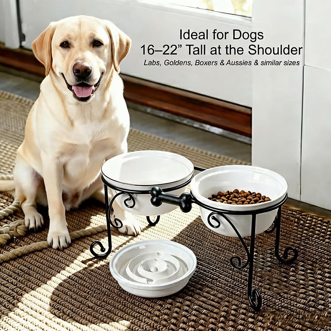 Elevated Dog Bowl Stand with 3 Large Ceramic Bowls – Raised Feeding Station for Medium & Large Dogs, Includes 2 Standard Bowls + 1 Slow Feeder, Durable Iron Frame, Non-Slip (White)