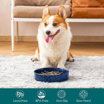 vancasso Ceramic Slow Feeder Dog Bowls, Puzzle Dog Food Bowls with Floral Maze, Anti -Slip Pet Food Dish for Small Breed, 0.6 Cups, Pink
