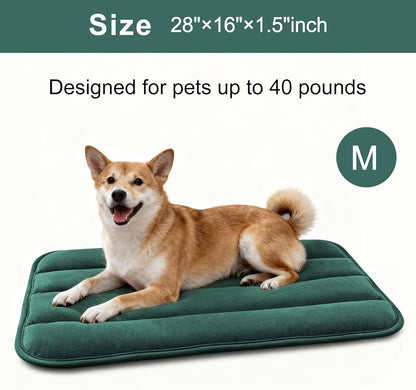 Dog Bed Mat, Reversible Crate Pad & Cute Dog Bed - Machine Washable Kennel Mat with Ultra Soft for Small Dogs (Cool/Warm), 24" x 18", Grey&Star