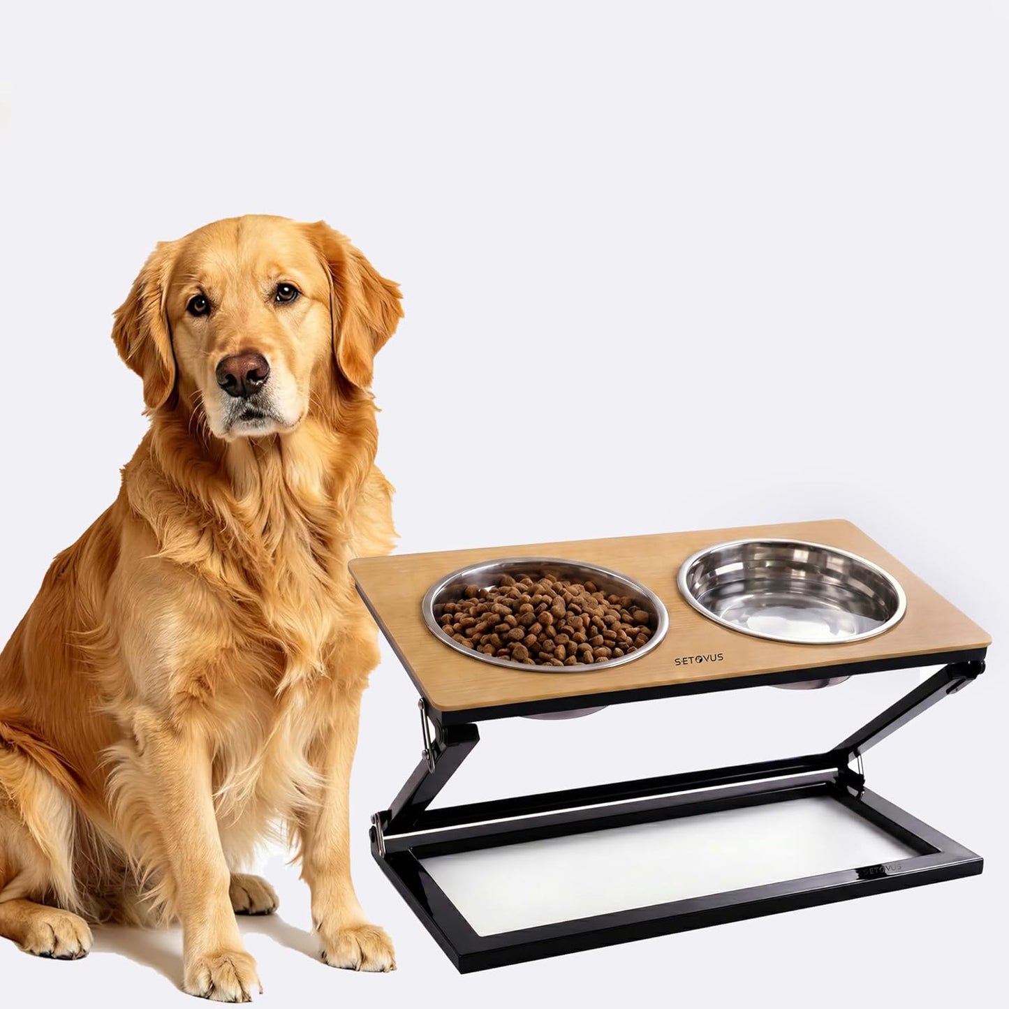 Elevated Dog Bowls, Adjustable Raised Dog Bowl Stand with 2 Stainless Steel Food Bowls 20°Tilted Water Bowls for Medium Small Sized Dogs (Black, Medium)