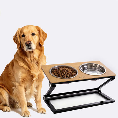 Elevated Dog Bowls, Adjustable Raised Dog Bowl Stand with 2 Stainless Steel Food Bowls 20°Tilted Water Bowls for Medium Small Sized Dogs (Black, Medium)