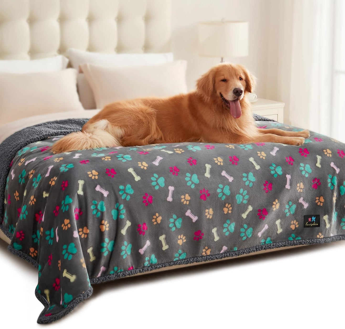 Luciphia Waterproof Pet Blankets for Couch Sofa Bed Cover Cat Liquid Pee Proof Washable Soft Fluffy Large Dog Blanket Reversible Furniture Protection Puppy Grey Paw Thicken Small（40" x 28"）