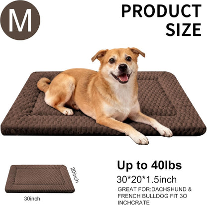 Dog Bed Mat, Reversible Crate Pad & Cute Dog Bed - Machine Washable Kennel Mat with Ultra Soft for Small Dogs (Cool/Warm), 24" x 18", Grey&Star