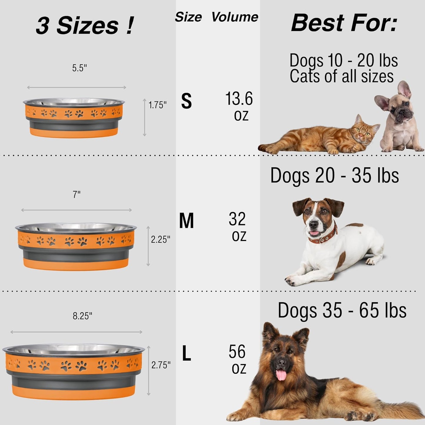 Loving Pets Corsa Dog Bowls- Stainless Steel Dog & Cat Bowls - Spill Proof Dog Food Bowl, Cat Bowl, Puppy Essentials & Pet Supplies Great for Home & Travel (Small 10-20 lbs, Rapid Blue)