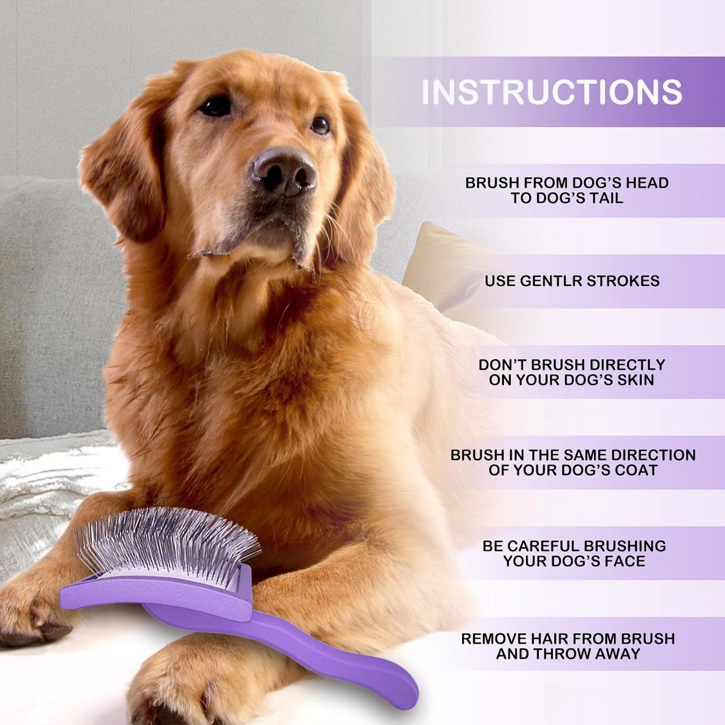 Dog Slicker Brush for Golden Doodle Grooming Kit - Dematting Brushes for Goldendoodles, Labradoodles, Poodles - Pet Hair Brush for Medium & Long Haired Dogs - Large (Blue)