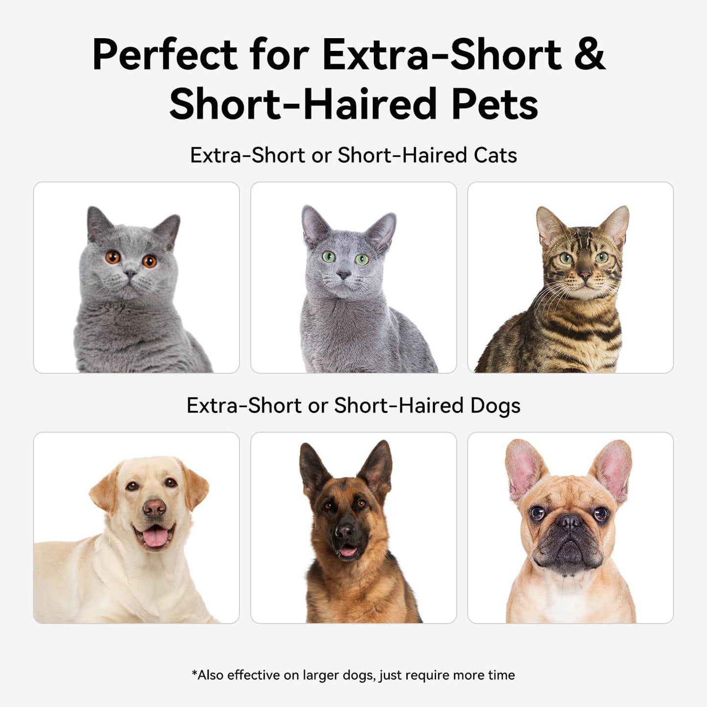 aumuca Pet Deshedding Tools for Short Haired Cats & Dogs, Dematting Deshedding Brush Cats Shedding Tool, Dog Undercoat Brush, Gently and Effectively Remove Loose Hair, Highly Deshedder Grooming Combs