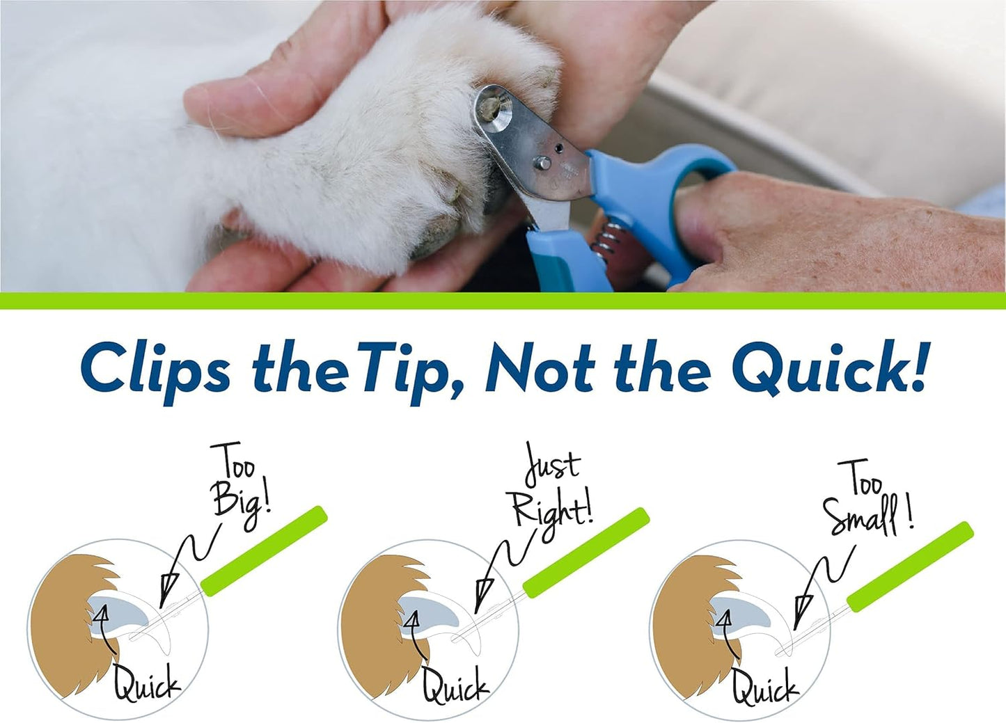 Zen Clipper Pet Nail Clipper for Dogs – Dog Nail Clipper for Safer Grooming and Nail Care - Clean, Quiet, and Easy-to-Use Stainless Steel Dog Nail Trimmer - (3mm Hole)