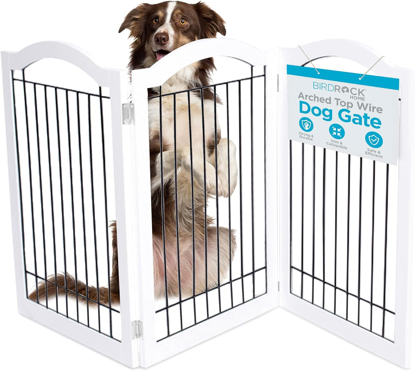 Internet's Best Wire Dog Gate with Arched Top - 4 Panel - 30" Tall - White