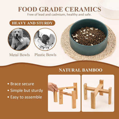Elevated Ceramic Cat Bowl - Cat Food Bowl with Bamboo Stand - Raised Dog Dish for Puppies - Anti Vomiting, Stress Free - 13.5 oz / 400 ml - White