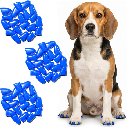 zetpo Dog Nail Caps & Claw Caps (60 pcs) - Anti Slip Dog Toe Grips & Covers for Hard Floors - Instant Traction & Mobility Support for Senior Dogs - Stops Scratches & Reduces Floor Noise (Blue, XXL)
